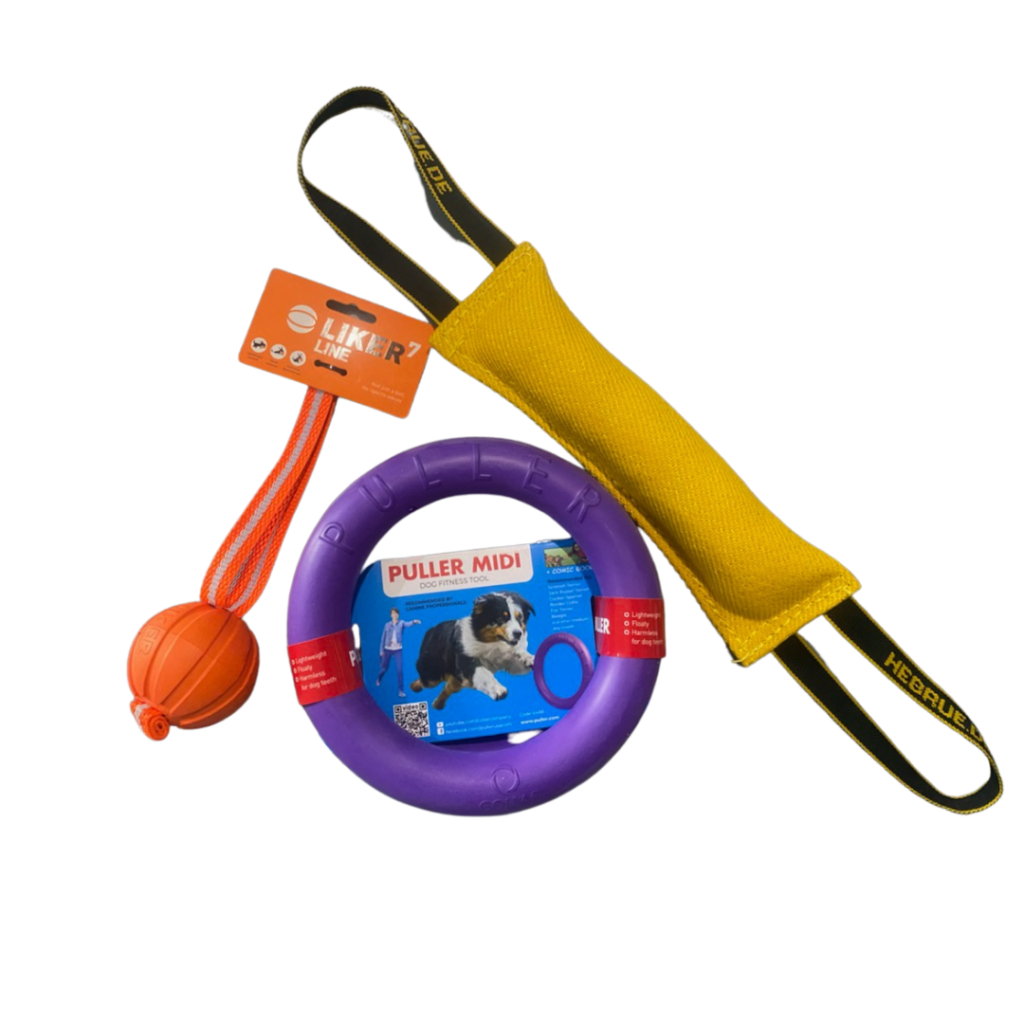 Tug Pack (Large Breed) – Unleashed Dog Training & Daycare