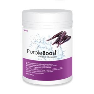 Purple Boost