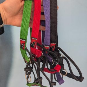 Black Dog Training Halter