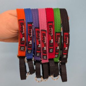 Black Dog Training Collar